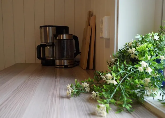 31 - Idarbua, Real Fisherman's In Lofoten Daire *